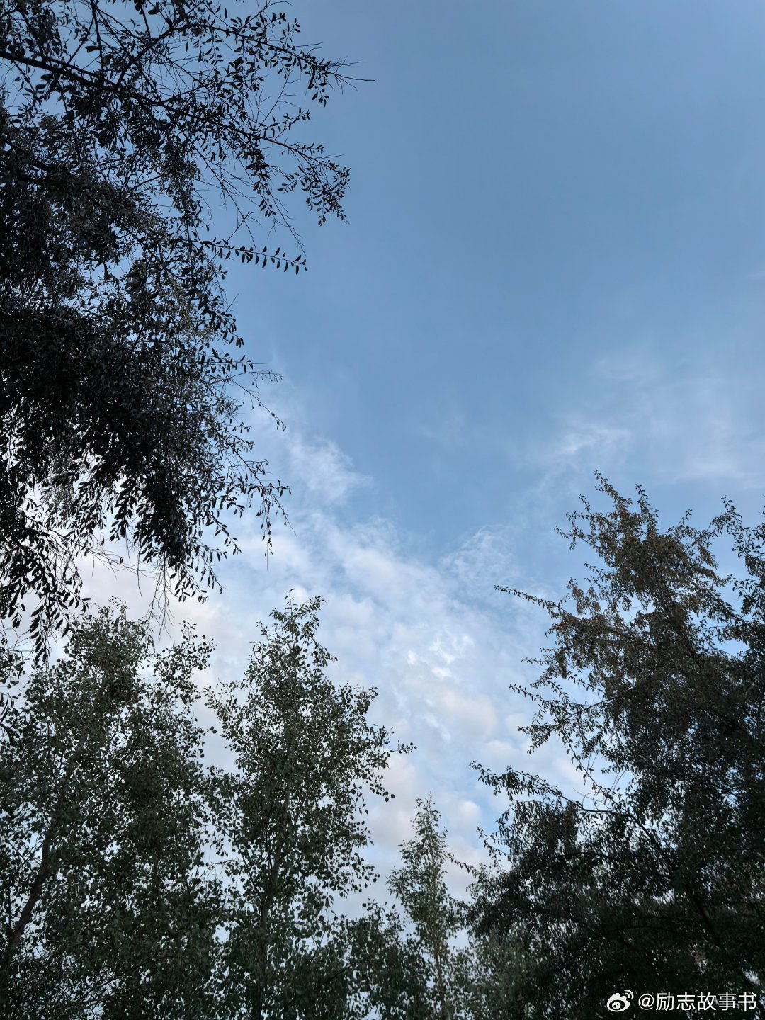 夏雨洗禮，清新世界與透亮天空的交響曲