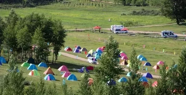山間小道自然之旅，草木蔥蘢，清新空氣之旅