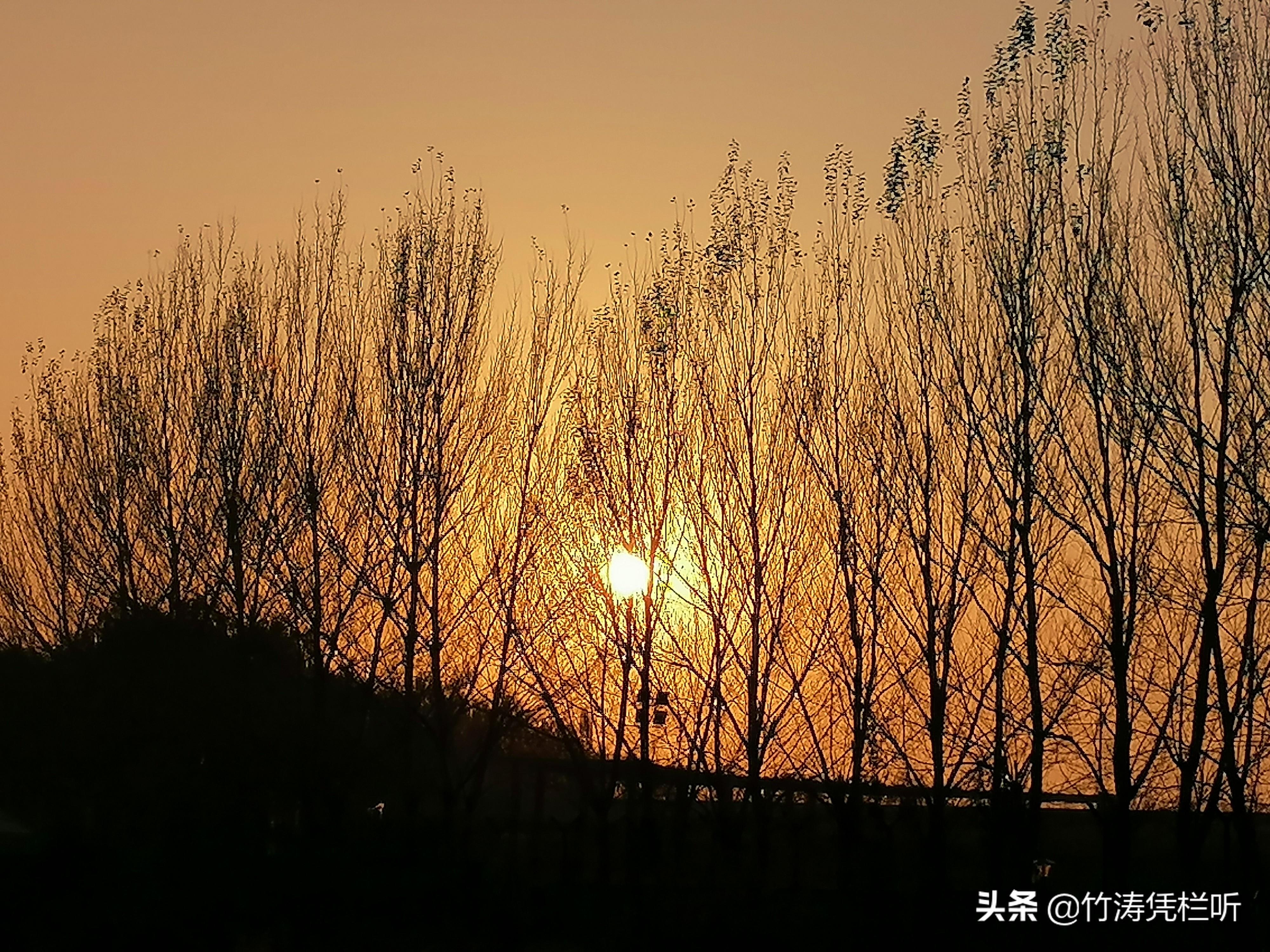 秋日金色天際的溫暖詩(shī)篇，黃昏的浪漫交響曲