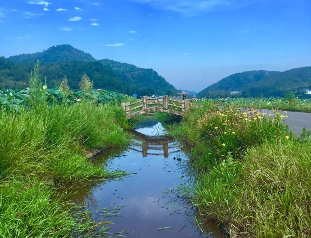 湖畔晨霧，如夢(mèng)如幻的秘境