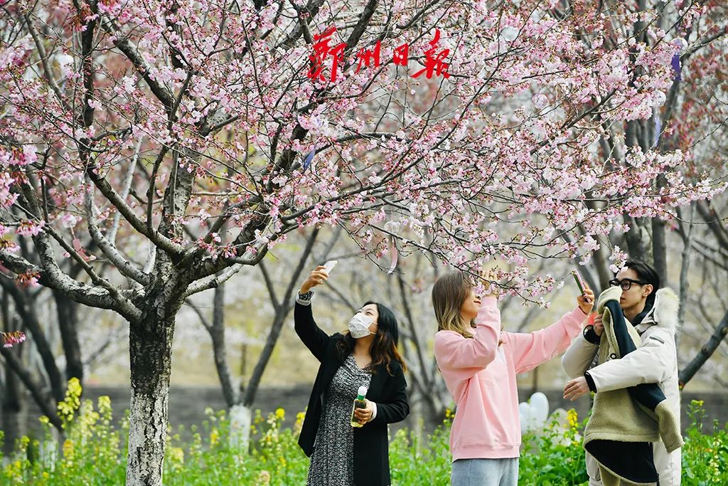 春雨后，世界如畫，清新花香沁人心脾