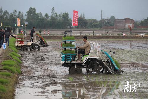 無人機精準(zhǔn)播種與灌溉技術(shù)在農(nóng)業(yè)中的創(chuàng)新應(yīng)用