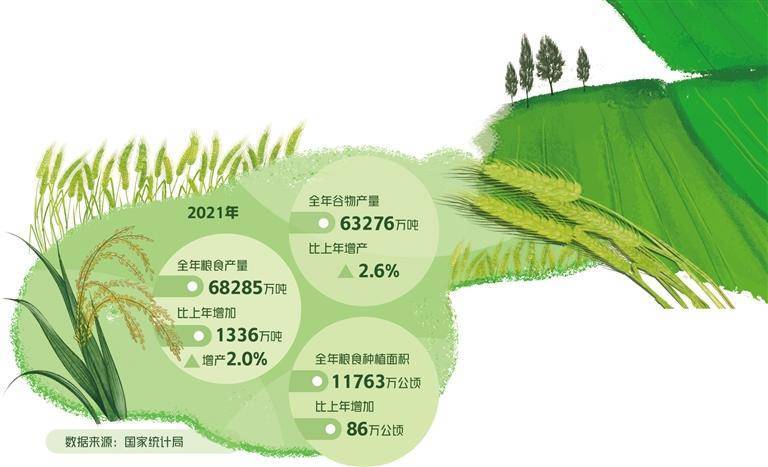 精準農(nóng)業(yè)應對全球糧食安全挑戰(zhàn)的策略探討