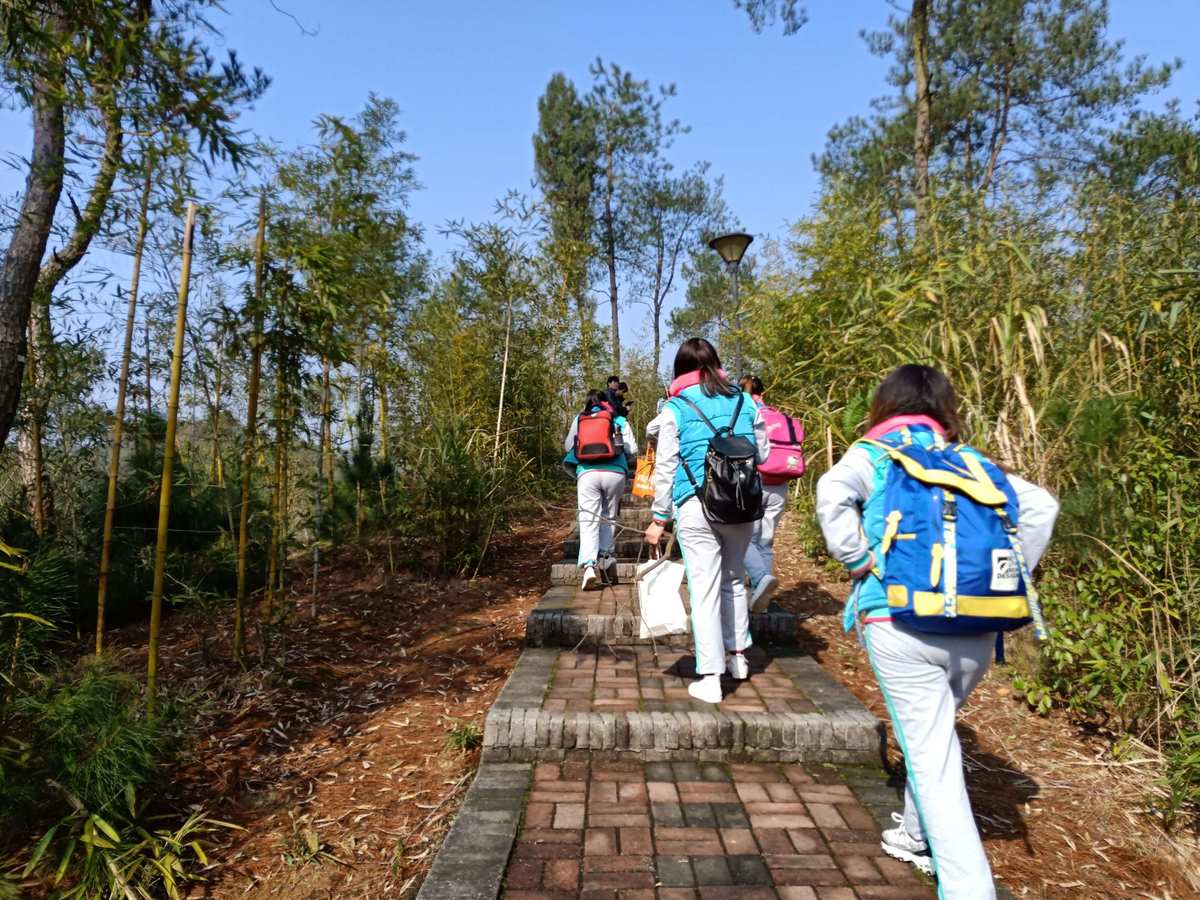 遠(yuǎn)足與旅行，提升孩子認(rèn)知能力的鍛煉之旅