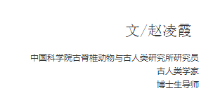 科學(xué)探索活動(dòng)，點(diǎn)燃孩子的好奇心與求知欲之火