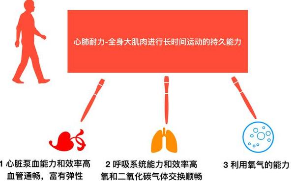 運(yùn)動(dòng)對(duì)心肺耐力培養(yǎng)的重要性