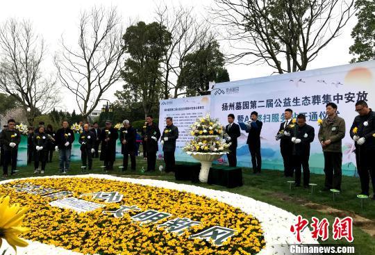社會(huì)活動(dòng)中的情感表達(dá)與文化認(rèn)同，交織紐帶的探究