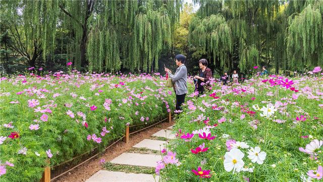 世界頂級(jí)植物園之旅，花卉與自然的絕美交融