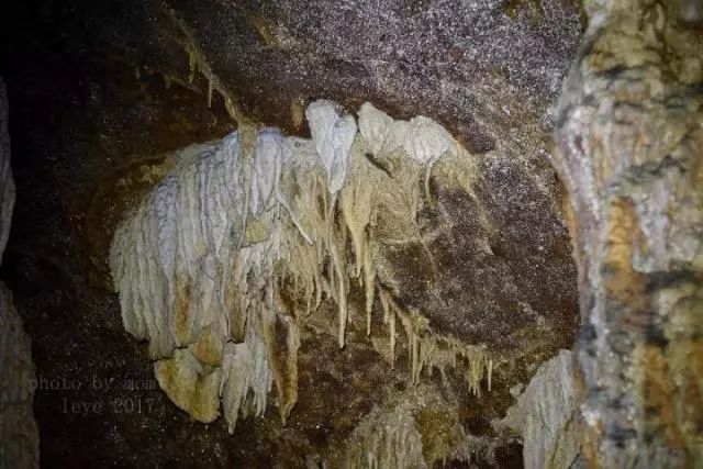 探訪奇特山洞，地下探險之旅的樂趣體驗