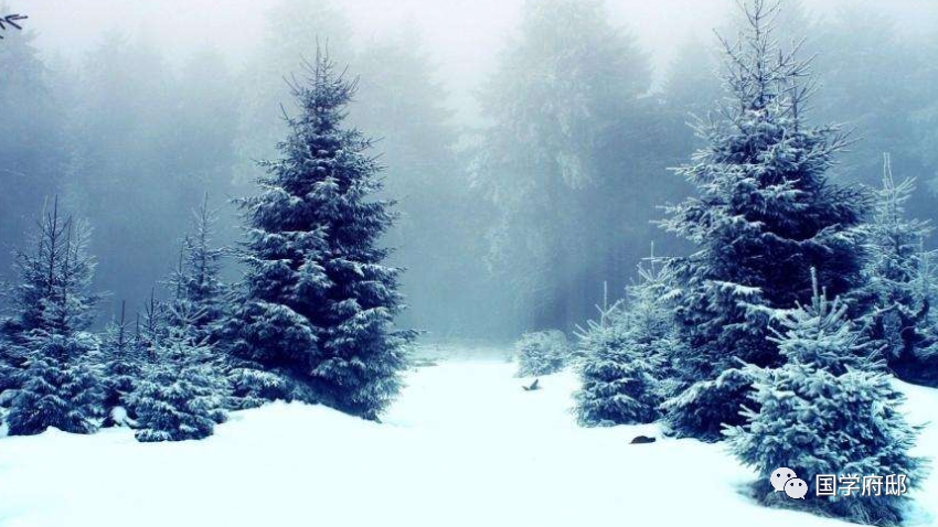 冬季山間雪舞，世界靜謐如畫