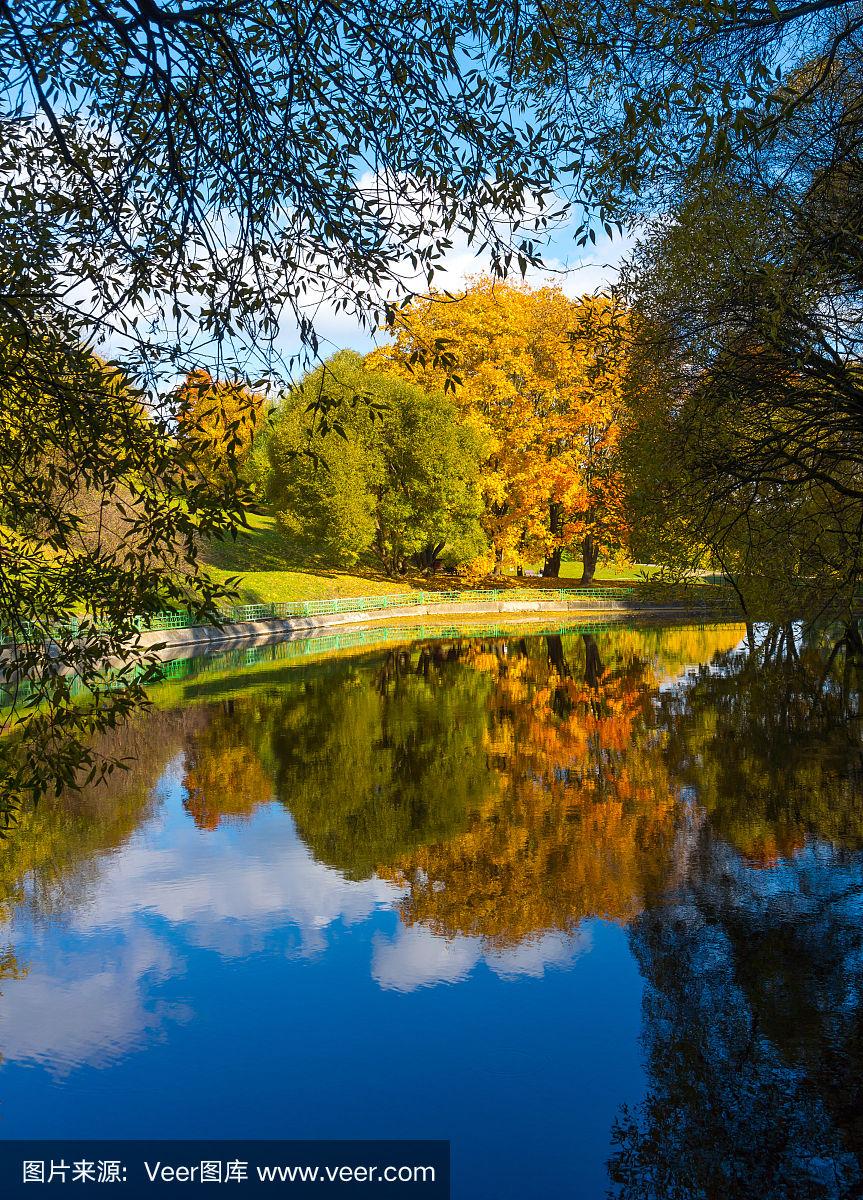 秋日公園，樹木倒影與詩意畫卷的交相輝映