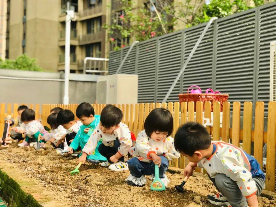 自然觀察與科學(xué)教育，相輔相成之道探索