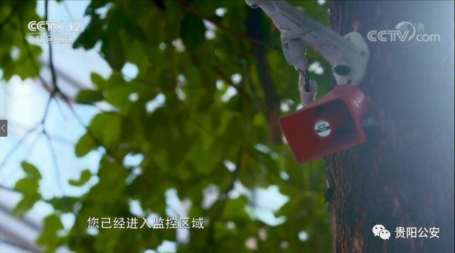 大數(shù)據(jù)對(duì)社會(huì)治理的影響與挑戰(zhàn)，探索與應(yīng)對(duì)之道