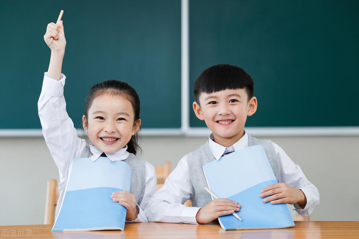 青少年心理健康與社會(huì)支持體系，構(gòu)建健康成長(zhǎng)的橋梁紐帶