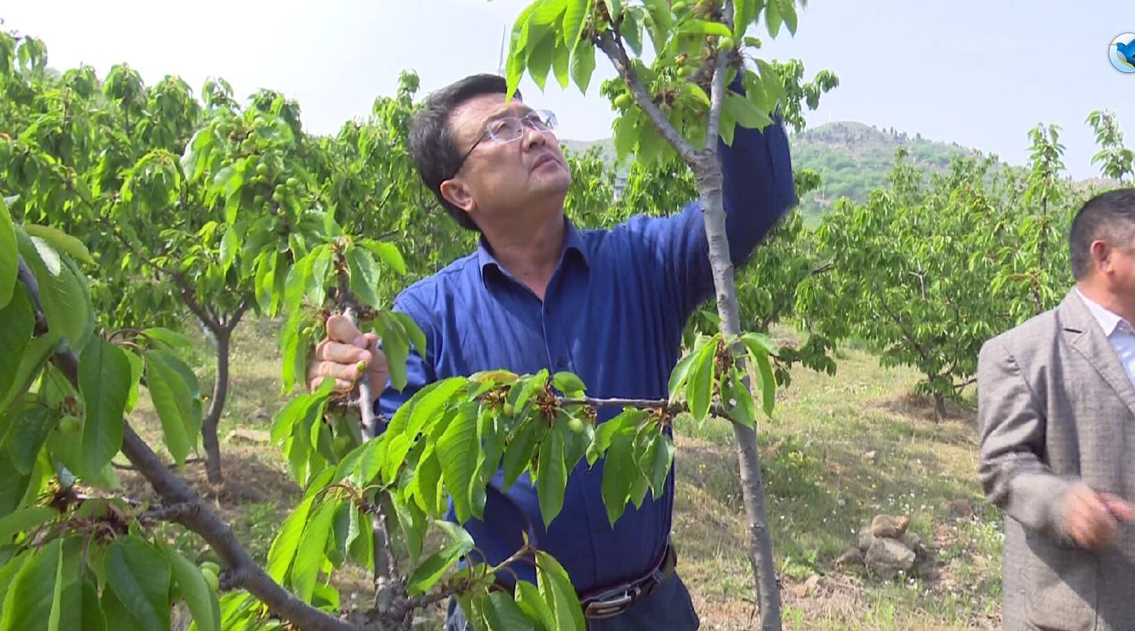 智能農(nóng)業(yè)實現(xiàn)精準(zhǔn)灌溉與施肥的技術(shù)探討