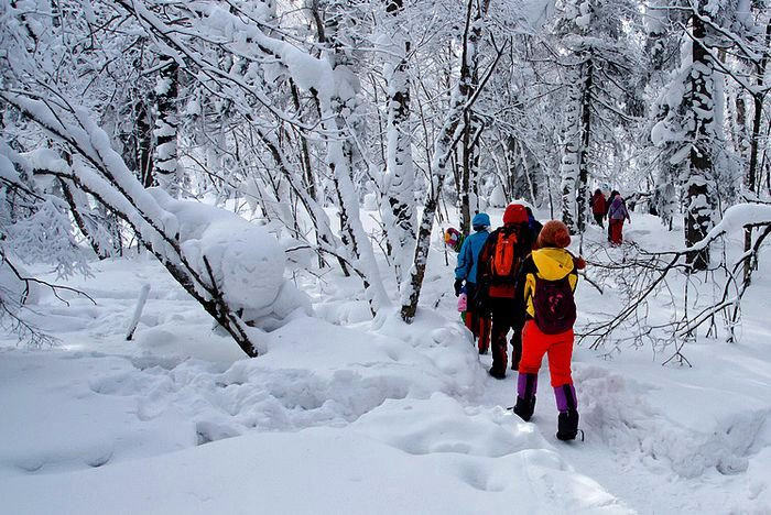 極地冰雪徒步的魅力之旅