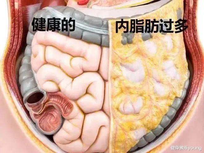 調(diào)整飲食策略，減少內(nèi)臟脂肪堆積