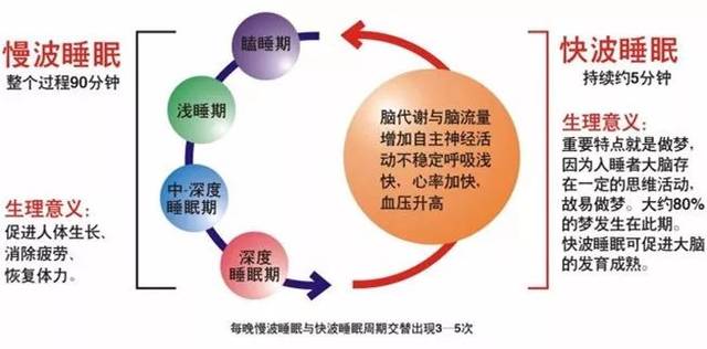 改善睡眠質(zhì)量，身體修復(fù)與細(xì)胞再生的關(guān)鍵要素