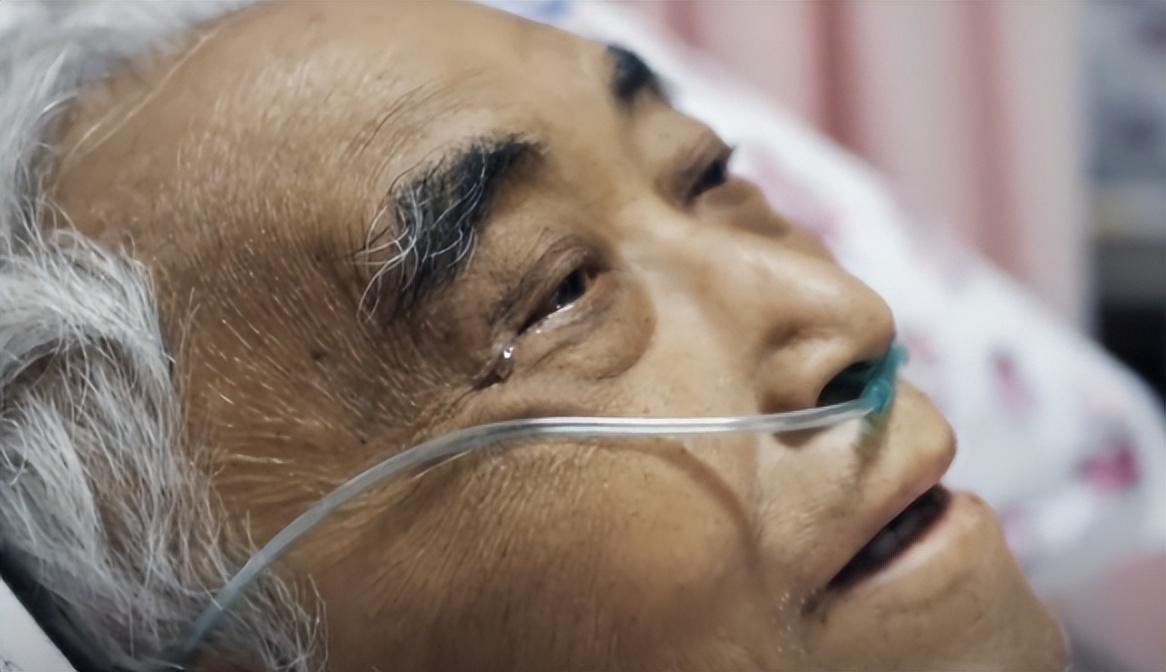 節(jié)食期間的飲食調(diào)整策略，避免身體疲勞的秘訣
