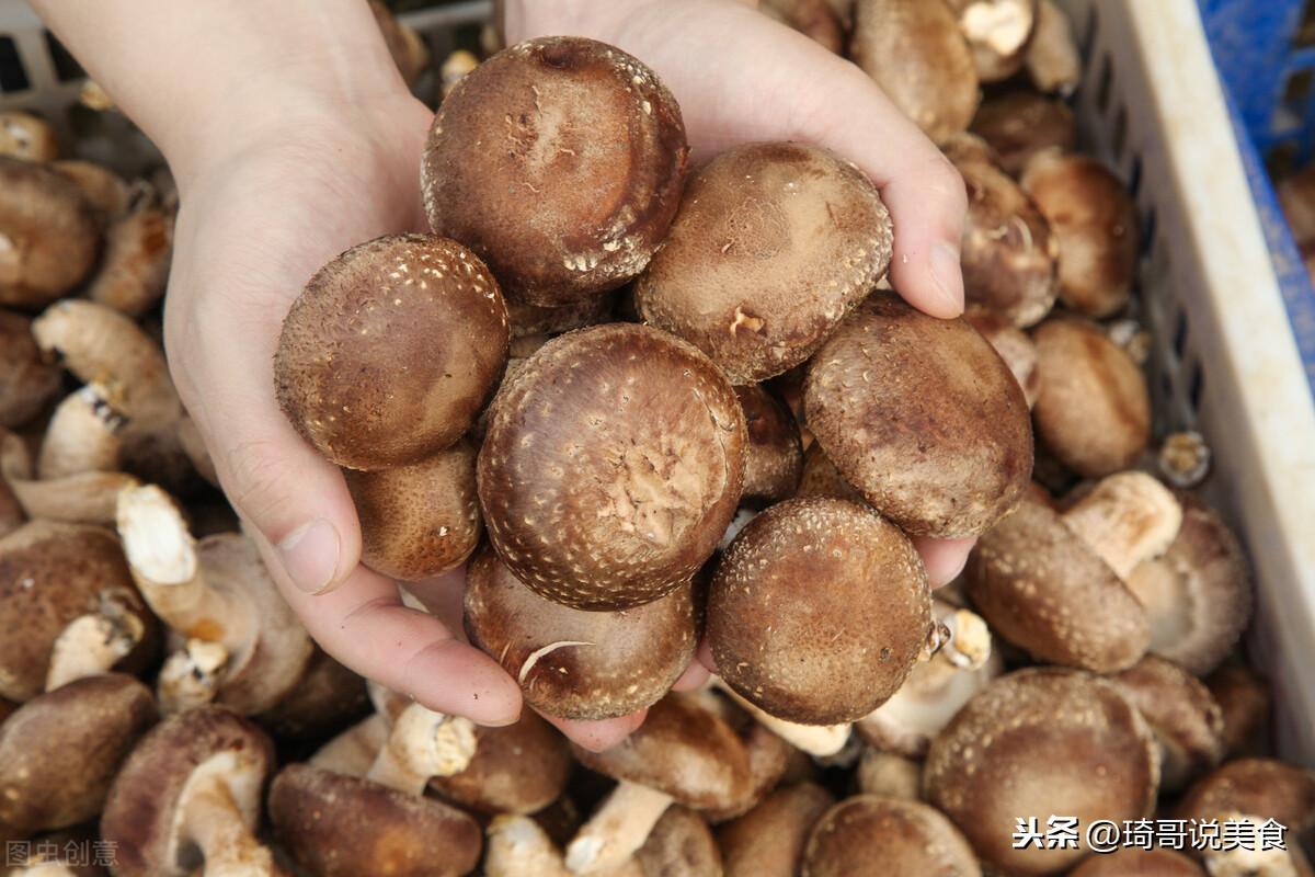 增加蔬果攝入，改善皮膚與消化健康的雙重秘訣