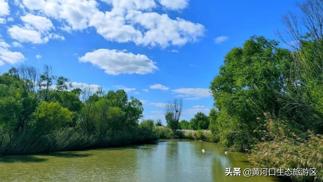 生態(tài)旅游中的文化傳播與社會參與，互動與影響