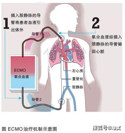 深呼吸幾分鐘，肺部健康秘訣揭曉！