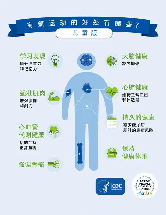 適量有氧運動，增強心肺健康的黃金法則