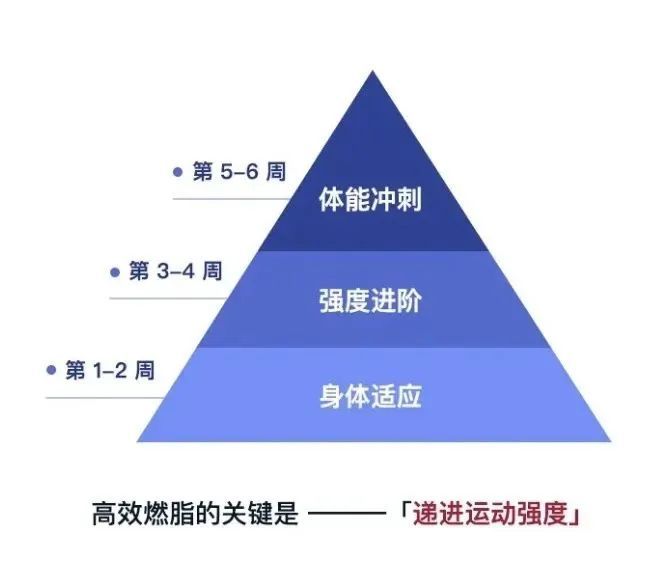 每日30分鐘運(yùn)動(dòng)，整體健康的秘訣之道