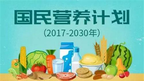 智慧之路，低卡飲食助你維持健康體重與能量平衡