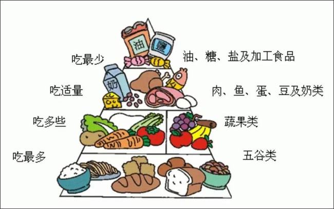 低脂飲食，雙重助力維持體重與健康