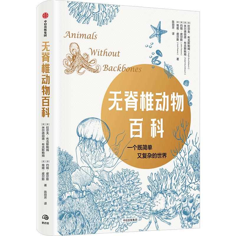 音樂與數(shù)學(xué)思維，探究內(nèi)在關(guān)聯(lián)性