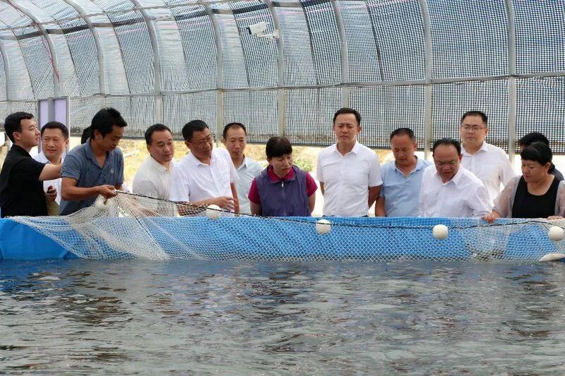 哈尼梯田民居，地域融合與生活智慧的體現(xiàn)
