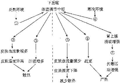 自然環(huán)境運(yùn)動(dòng)，心理與生理的雙重調(diào)節(jié)之道