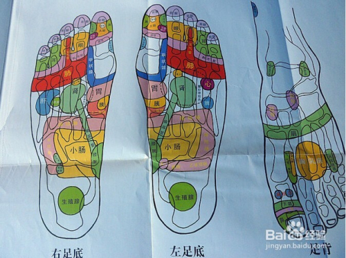腦力活動與老年癡呆癥的預(yù)防，探究腦力活動對減緩老年癡呆癥的作用