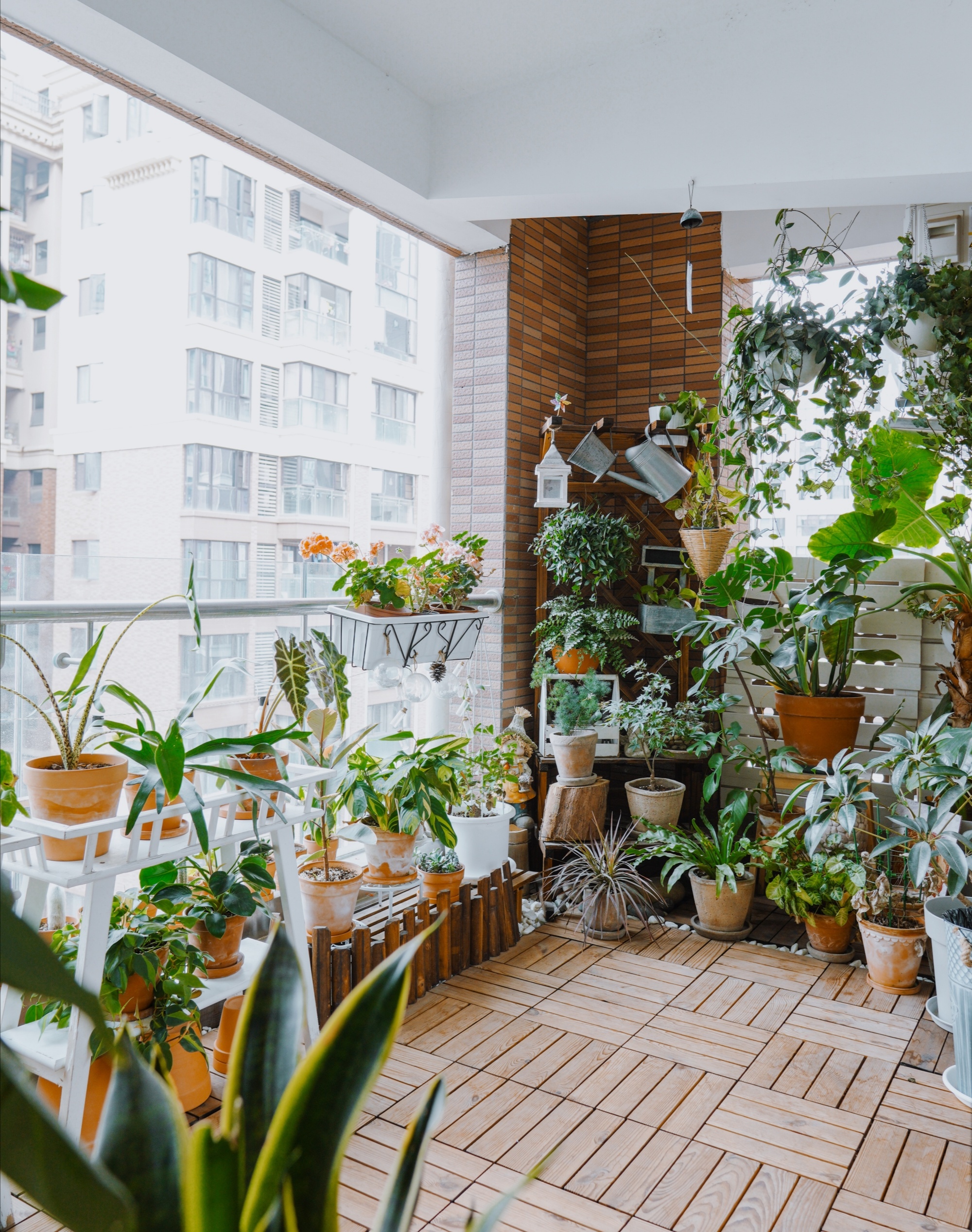 家庭陽臺變身休閑綠植區(qū)，享受自然之樂，放松心情的空間