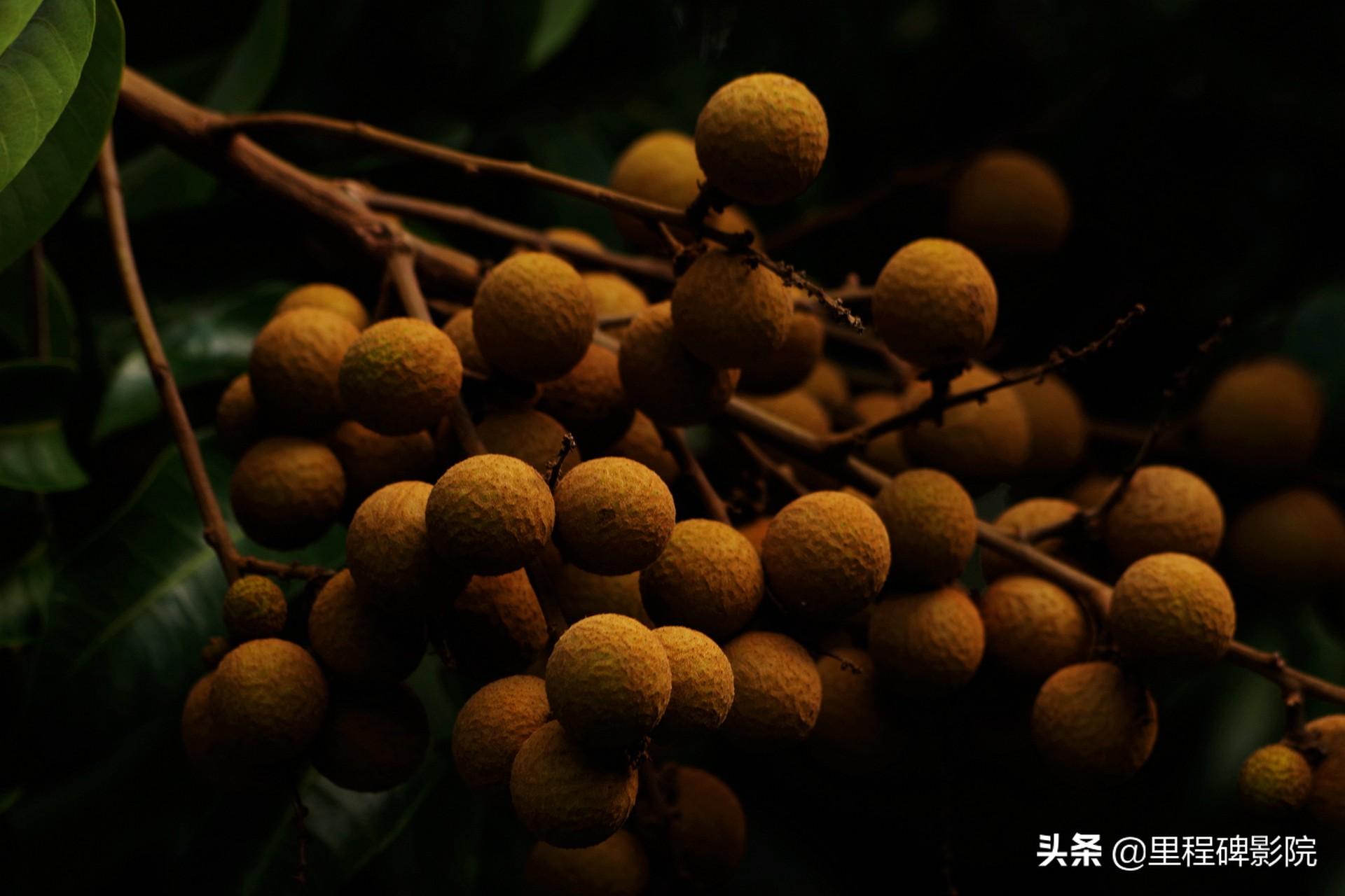 家庭影院體驗(yàn)升級(jí)，家具選購(gòu)與布置技巧全攻略